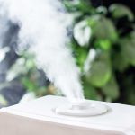 Mother in Hot Water for Giving Teen a Gun