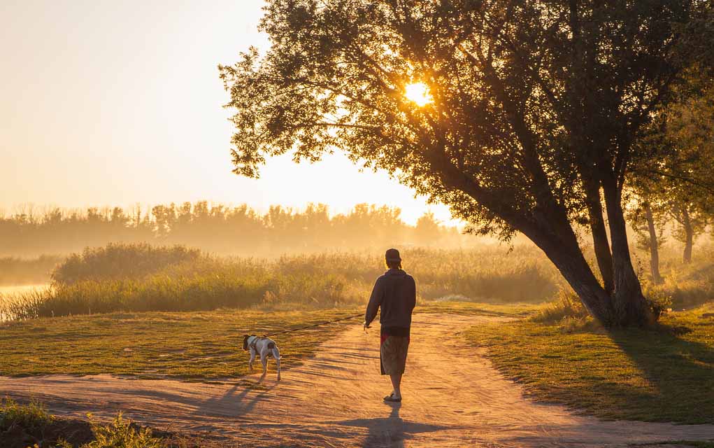 562654981 featured image Outdoor Exercise