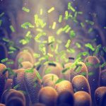 Epic Discovery – New Antibiotic Kills Unkillable Superbugs Green bacteria among intestine lining cells, microscopic view.