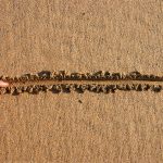 Finger drawing line in wet sand beach