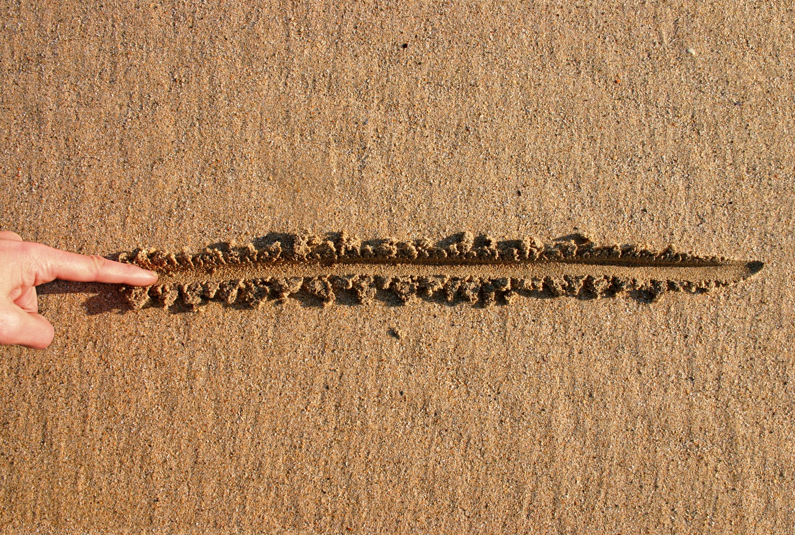Finger drawing line in wet sand beach