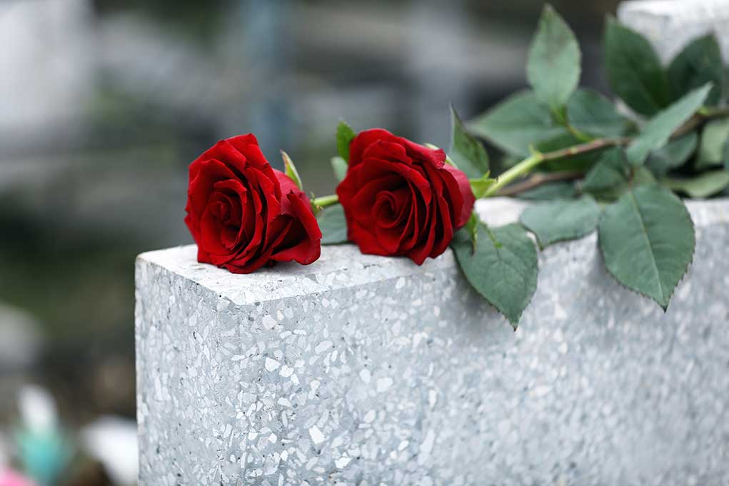 Red roses on a gray stone surface