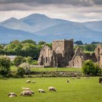 Ruins sheep grazing mountains and cloudy sky