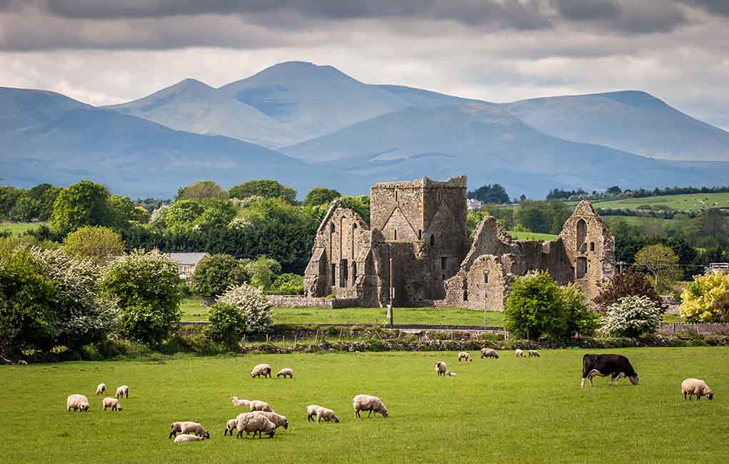 Ruins sheep grazing mountains and cloudy sky