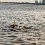 Persons hand reaching out from the water