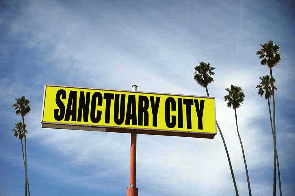 Sanctuary City sign with palm trees and sky