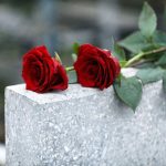 Royal Tragedy: Mystery Surrounds Rosie Roche’s Death Red roses on a gray stone surface
