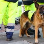 DISASTER ALERT: Floods Expose Fatal System Flaw Service dog in vest among workers in high vis gear