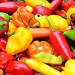 A variety of colorful peppers and chilies arranged together