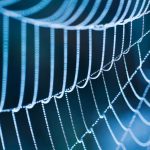 SHOCK: Extremist Web Lurks in Schools Close-up of a spider web adorned with dew drops against a blue background