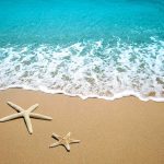 MASSIVE Pink Killers Invade Texas Beaches Two starfish on a sandy beach with ocean waves in the background