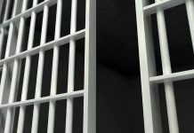 CONVICTED Sex Offender “Accidentally” Released From Prison Close-up of prison cell bars.