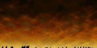 Silhouetted figures walking against a sunset backdrop