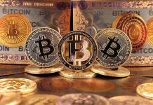 Crypto Meltdown: $800 Billion Vanishes Overnight Bitcoins and Bitcoin-themed banknotes in various designs.