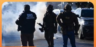 Prosecutors Resign Over Push to Investigate Renee