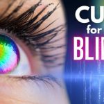 Elon Musk’s Brain Implant Bet Elon Musk's Neuralink Will Restore Vision