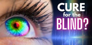 Elon Musk's Neuralink Will Restore Vision