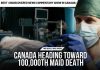 Canada Euthanizes More Humans Than Dogs