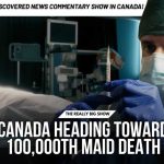 Canada Euthanizes More Humans Than Dogs