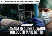 Canada Euthanizes More Humans Than Dogs