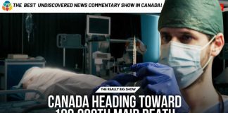 Canada Euthanizes More Humans Than Dogs