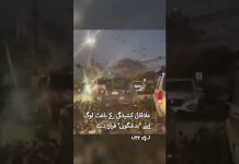 DOOMSDAY Crows Swarm Tel Aviv Skies DOOMSDAY Crows Swarm Tel Aviv Skies