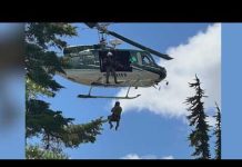 Killer Still Loose–Entire County LOCKED DOWN