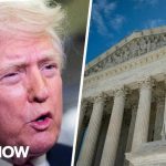 Trump Crashes Supreme Court Hearing