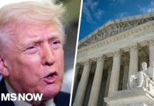Trump Crashes Supreme Court Hearing