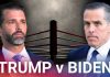 Hunter Biden Dares Trump Sons