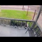 ICE Shooting Sparks Houston Uproar Team coverage | Man killed by ICE officer in Houston's East End