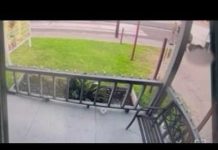 ICE Shooting Sparks Houston Uproar Team coverage | Man killed by ICE officer in Houston's East End
