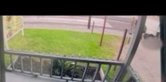 ICE Shooting Sparks Houston Uproar Team coverage | Man killed by ICE officer in Houston's East End