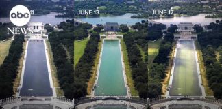 Engineers Blame Botch, Not Blades Reflecting pool controversy grows amid algae and cost concerns