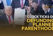 Looming Deadline in the Efforts to Defund Planned Parenthood | EWTN Pro-Life Weekly