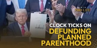 Supreme Court Greenlights Medicaid Purge Looming Deadline in the Efforts to Defund Planned Parenthood | EWTN Pro-Life Weekly