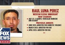 Blown Stop Sign, A System Exposed NEW: ICE detains migrant accused of killing mother, child in drunk driving crash