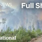 Tariff Smoke Bomb Backfires CBC News: The National | Ontario wildfires evacuees describe their escape