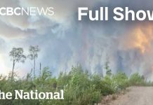 Tariff Smoke Bomb Backfires CBC News: The National | Ontario wildfires evacuees describe their escape