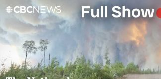 Tariff Smoke Bomb Backfires CBC News: The National | Ontario wildfires evacuees describe their escape