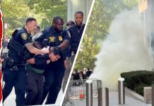 Homemade Firebomb Rattles Federal Nerve Center Suspect Arrested After Incendiary Device Deployed Outside NYC Federal Building