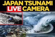 Tsunami Sirens BLARE After 7.1 Jolt Japan Earthquake LIVE: Powerful 7.1-Magnitude Earthquake Strikes off Japan, Tsunami Warning