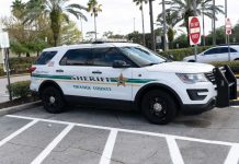 Coroner Conduct That Shocked the Court Sheriff SUV parked in a lot near palm trees