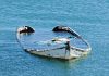 The Fox River Crash: What Prosecutors Say Happened partially sunken boat in calm blue water
