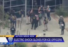 ICE Plans $20M Rollout of ‘Bee Sting’ Shock Gloves ICE plans to give officers gloves that can deliver painful electric shocks