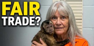 Foster Mom Accused of Trading Teen for MONKEY Avoids Prison INSANE: Mom Trades Child For MONKEY!