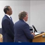 Tiger Woods Takes Plea Deal in DUI Case Tiger Woods changes plea in DUI case, driver's license suspended for 5 years