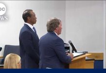 Tiger Woods Takes Plea Deal in DUI Case Tiger Woods changes plea in DUI case, driver's license suspended for 5 years