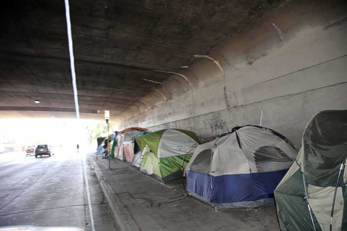 shutterstock_1430654129 Tents lined up under a concrete overpass