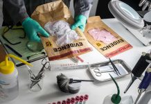 Beer Can Nails 1981 Murder Forensic technician handling evidence bags on a lab table